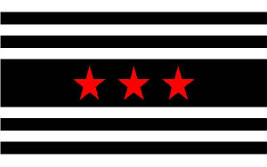 jaguarflag.jpg