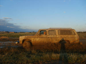 s5000119.jpg