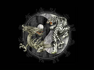 tigerdragonyinyang.jpg